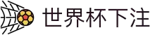 世界杯下注平台- 世界杯投注网